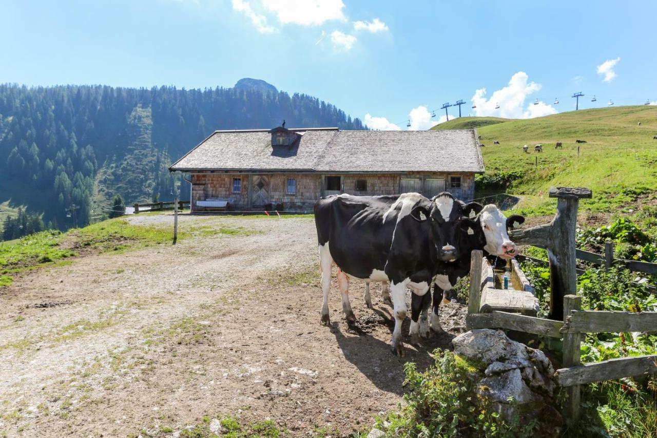 Muellerkaser Lofer Exterior photo